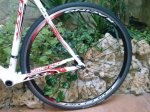 IMG-20141110-WA0004.jpg