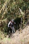 IMG_270158487054789.jpeg