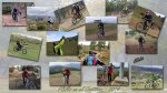 Pbms en el Castañar2014-reducida.jpg