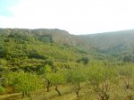 Imagen3180.jpg