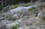DSC_2165.JPG