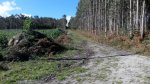 20141101132418.jpg
