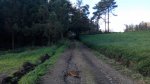 20141101122115.jpg