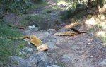 DSC_0216~2.jpg