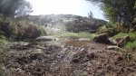DSC00121.JPG