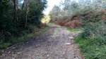20141101130841.jpg