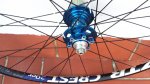 NUCLEO TR2.jpg