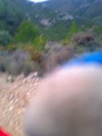 Foto0203.jpg