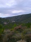 Foto0204.jpg