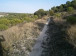 PA210043.JPG