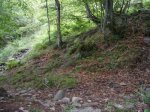 Image00006.jpg