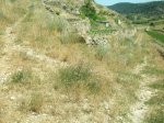 FOTOSMTB026.jpg
