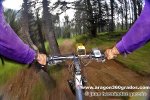bicisaravilloibon.jpg
