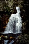cascada-yeguas[1].jpg