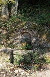 fuente-hervas[3].jpg