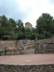 DSC01203.JPG