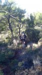 DSC_1366.jpg