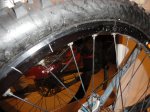 DSC00249.JPG
