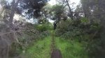 vlcsnap-2014-11-21-23h27m00s178.jpg
