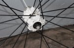 IMG_1045_result.JPG