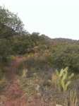 IMG-20141122-WA0020.jpg