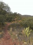 IMG-20141122-WA0027.jpg