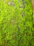 DSC03668 - copia.JPG