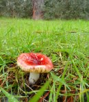 DSC03673 - copia.JPG