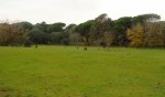 DSC03682 - copia.JPG