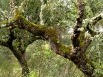 DSC03693 - copia.JPG