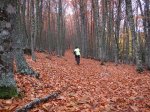 IMG_2818-Fernando.jpg