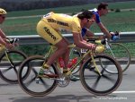 cipo-yellow620.jpg