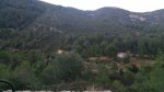 IMG-20141109-WA0007.jpg