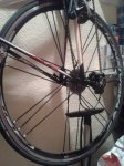 20141120_202828.jpg