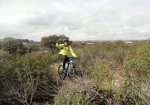 DSC03722.JPG