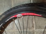 IMG_6283red.jpg
