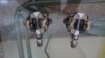 CAM00608.jpg