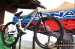 kona08_cowan_500.jpg