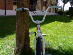 bike (1).jpg