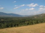 IMG_1754-1.JPG