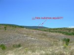 monte.jpg