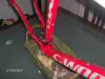 zoomarine 060.jpg