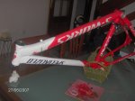 zoomarine 066.jpg