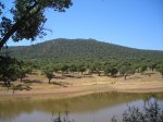 DSCN4971.JPG