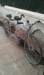 IMAG0020.jpg