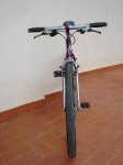 DSC05384.jpg