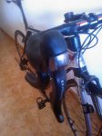 WP_000940.jpg