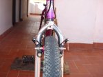 DSC05393.jpg