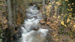 IMG_20141129_123645.jpg