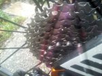 20141130_102031.jpg